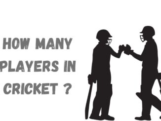 how many players in cricket