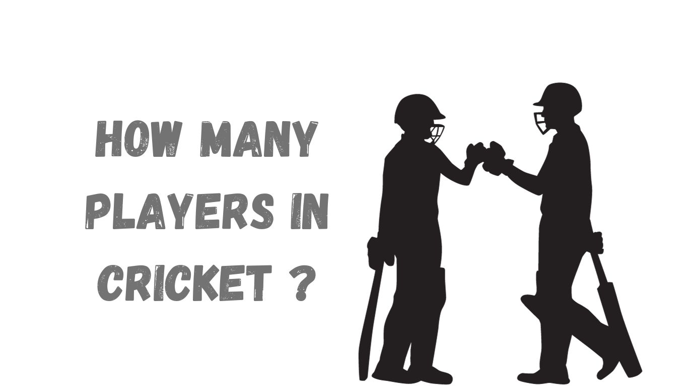 how many players in cricket